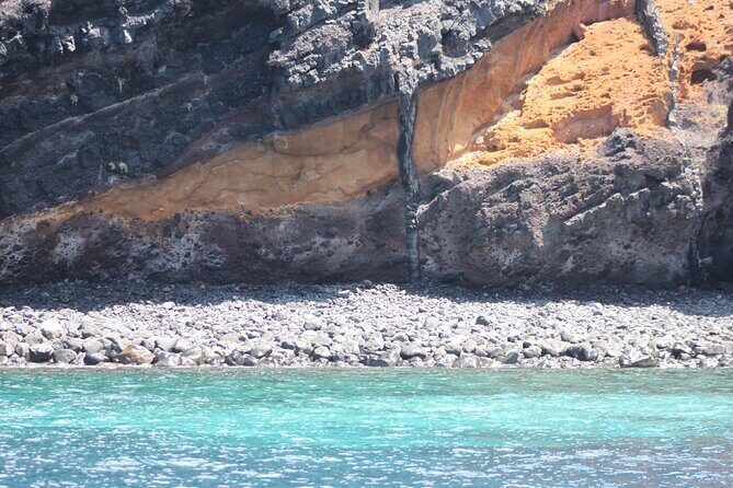 Small Group Excursion Whales and Dolphin Watching Los Gigantes - Detailed Itinerary Breakdown