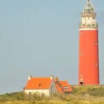 Small group full day island tour to Texel from Amsterdam - Why This Tour Works Well