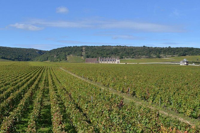 Small-Group Full-Day Tour of Côte de Nuits, Côte de Beaune Vineyards and Beaune Historical District - Frequently Asked Questions
