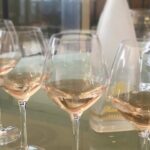 Small group half day Camargue and rosé wine tour from Montpellier - Detailed Review of the Experience