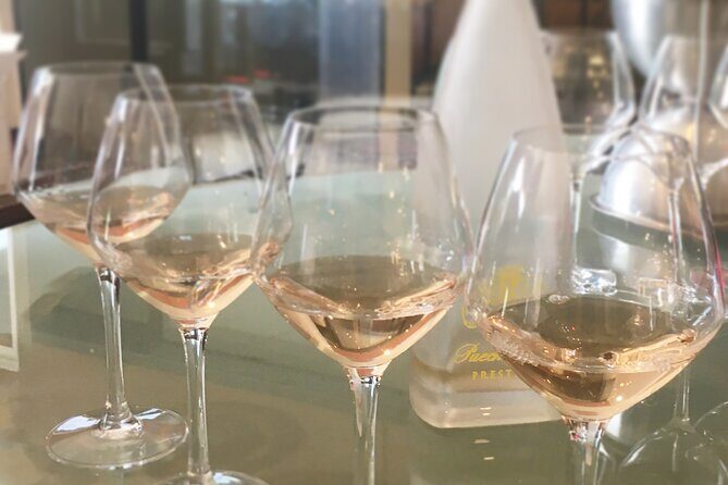 Small group half day Camargue and rosé wine tour from Montpellier - Detailed Review of the Experience
