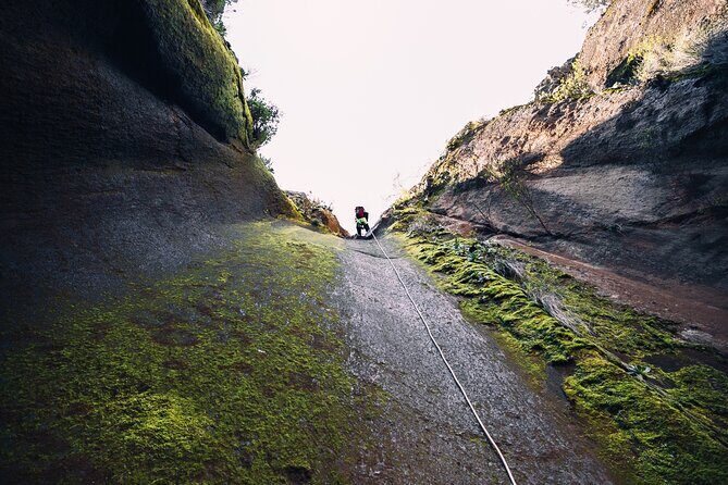 Small-Group Half-Day Canyoning in La Orotava - Is This Canyoning Tour Right for You?