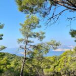 Small group hiking between the beach and Kritinia Castle - What to Expect