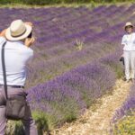 Small Group Marseille Shore Excursion: Lavender Tour - FAQs