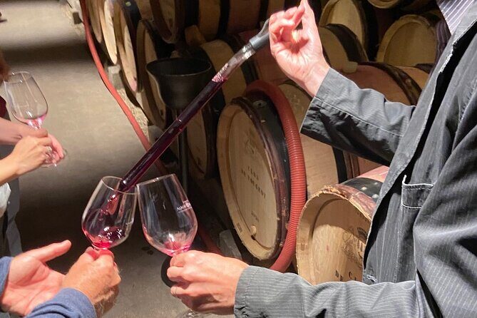 Small Group Wine Tasting Tour Côte de Beaune and Côte de Nuits - Practical Tips for Travelers