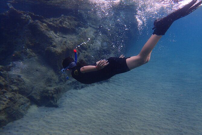 Snorkel Experience in Lanzarote - Why This Tour Offers Great Value