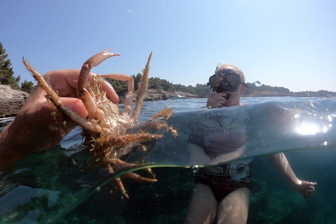 SNORKELING ADVENTURE | Pula Boat - Inclusions and Practical Details
