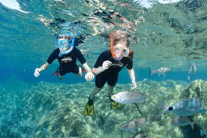 Snorkeling - By boat on site in the Bay of Cannes or Estérel - Practical Considerations for Your Trip