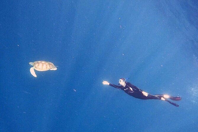Snorkeling excursion in the Rayas and Turtles Zone - Practical Details and Considerations