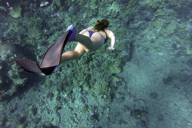 Snorkeling Fun Adventure in Athenian Riviera - Why This Tour Works Well for Travelers