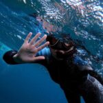 Snorkeling in Vila Franca do Campo - The Experience in Detail: From Booking to Return