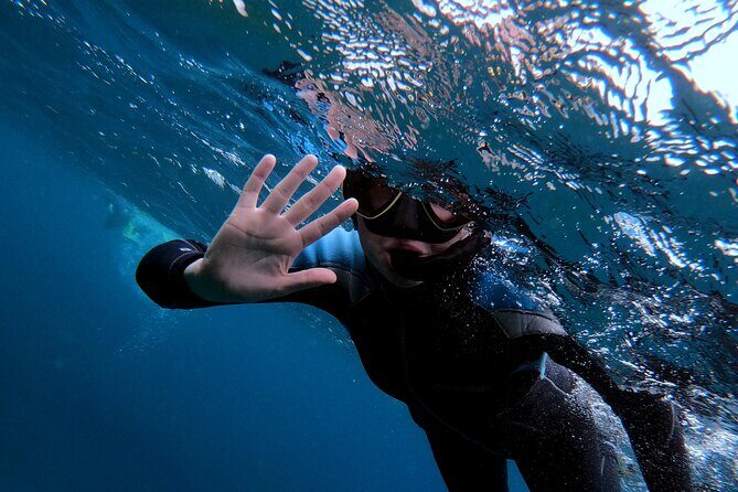 Snorkeling in Vila Franca do Campo - The Experience in Detail: From Booking to Return