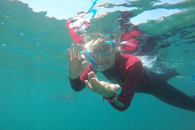 Snorkeling - Marine Park Discovery - Who Should Consider This Tour?