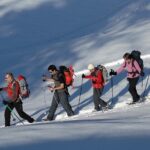 Snowshoeing in Chamonix, with a private guide - A Deep Dive into the Snowshoeing Experience in Chamonix