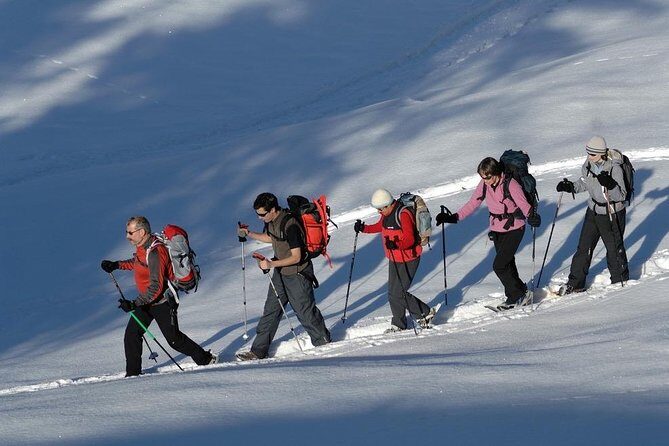Snowshoeing in Chamonix, with a private guide - A Deep Dive into the Snowshoeing Experience in Chamonix