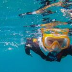 South Tenerife: Guided Snorkeling - What Makes This Snorkeling Tour Stand Out?