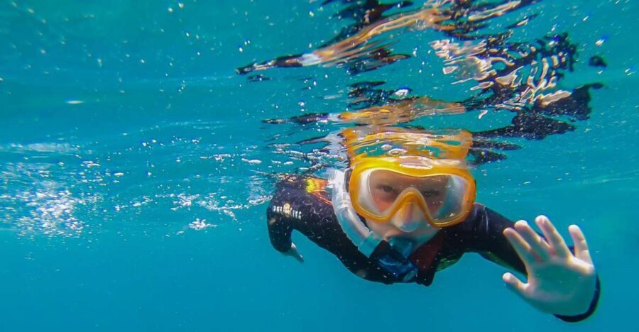 South Tenerife: Guided Snorkeling - What Makes This Snorkeling Tour Stand Out?