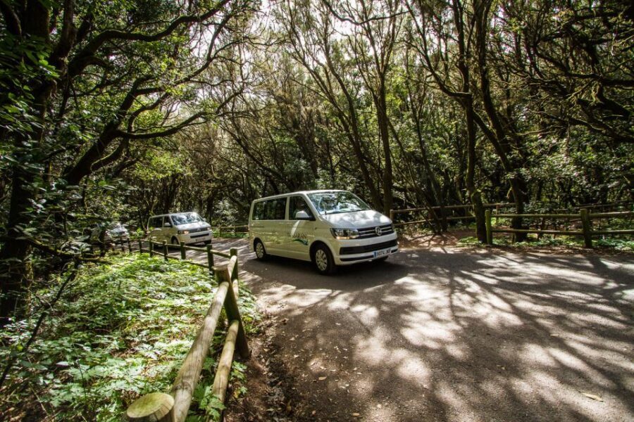 South Tenerife: San Cristóbal de La Laguna and Anaga Tour - Why This Tour Can Be a Great Choice