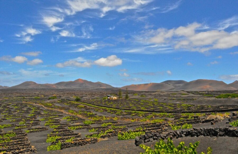 South Tour: Timanfaya National Park - Practical Details and Considerations