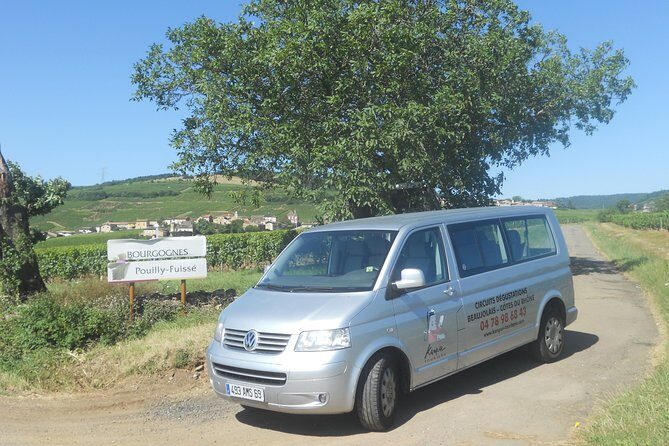 Southern Burgundy Wine Tour - Full Day Shared tour from Lyon - Who Will Love This Tour?