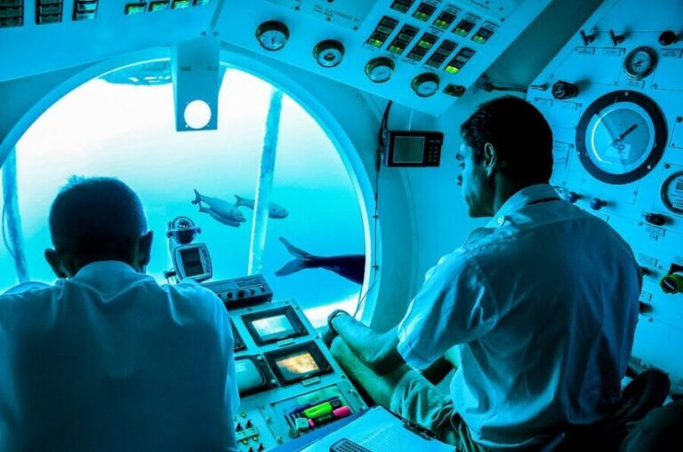 Southern Tenerife: 50-Minute Submarine Dive - Authentic Perspectives from Travelers