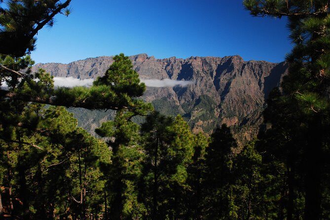 Special cruise tour Center and South La Palma (Price per car not per person) - The Itinerary: What to Expect at Each Stop