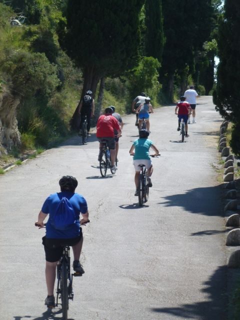 Split 3-Hour Guided Bike Tour - What Travelers Are Saying