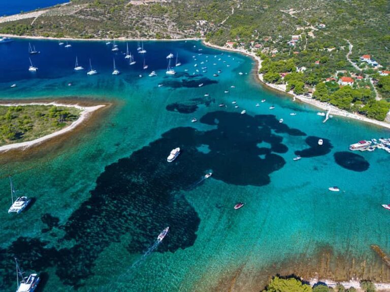 Split: Private Blue Lagoon & olta Shipwreck Tour - What You Can Expect During the Day