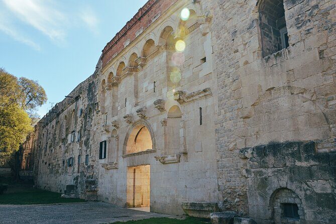 Split Private Walking Tour for Families with kids from 5-17 years - Analyzing the Cost and Value