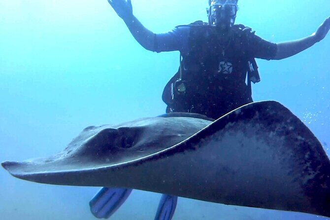 SSI Open Water Diver Course in Tenerife - Key Points