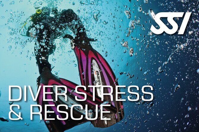 SSI Rescue Diver Course in Tenerife - Final Thoughts: Who Is This Course Perfect For?