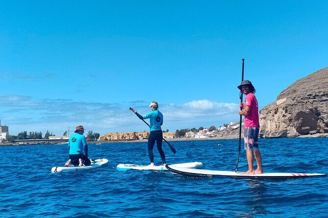Stand Up Paddle and Snorkeling Tour of Gran Canaria with Transfers south area - Who Would Love This Tour?