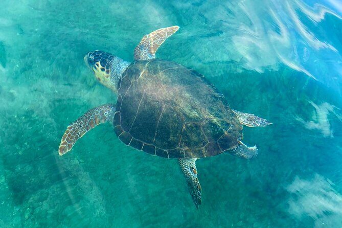 Stand-up Paddleboard Lazareta Experience Chania Crete (tour) - FAQ