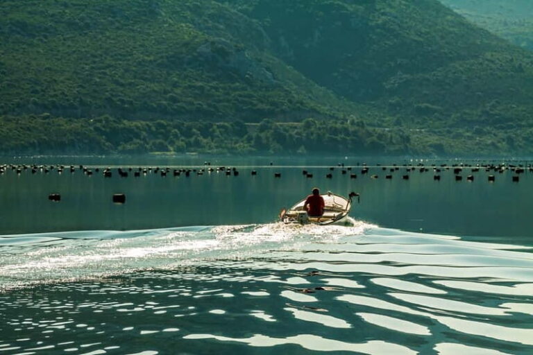 Ston Oyster & Wine Tasting Private Tour From Dubrovnik - Itinerary Breakdown: What to Expect