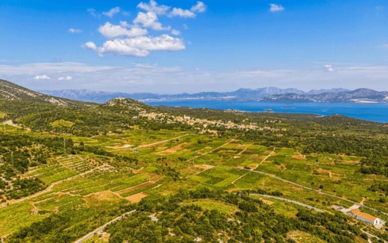 Ston, Peljesac and Korcula Winetasting Tour - What the Tour Means for You