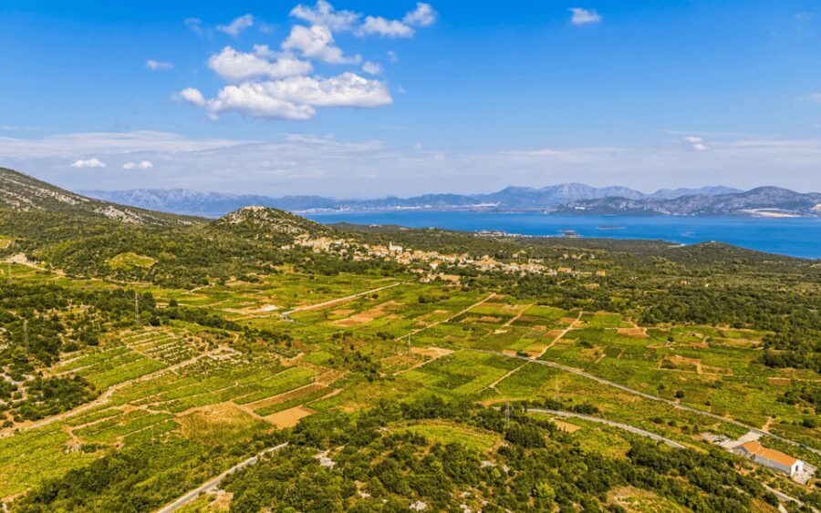 Ston, Peljesac and Korcula Winetasting Tour - What the Tour Means for You