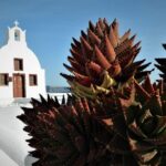 Stress-Free Santorini Shore Excursion: Private Highlights Tour - The Sum Up