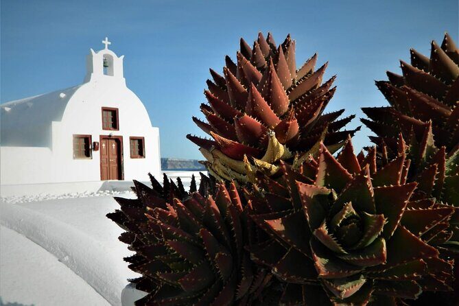 Stress-Free Santorini Shore Excursion: Private Highlights Tour - The Sum Up