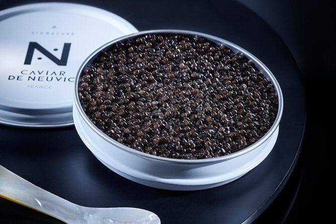 Sturgeon Fish-Farm Visit and Caviar Discovery Tasting in Neuvic - Why This Tour Stands Out