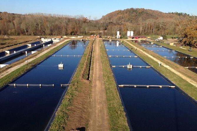 Sturgeon Fish-Farm Visit and Caviar Master Class Tasting in Neuvic - FAQ