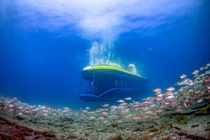 SUBMARINE ADVENTURE - Submarine Excursion in Puerto de Mogán - A Detailed Look at What to Expect