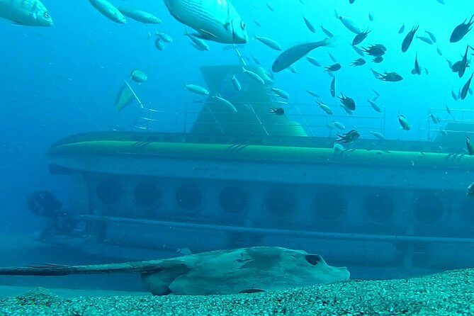 Submarine Safaris Lanzarote - Final Thoughts