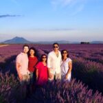 Sunset Lavender Tour in Valensole with pickup from Marseille - The Practical Aspects
