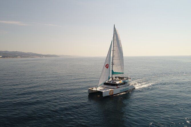 Sunset or night catamaran tour from Malaga - The Sum Up