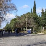 Super Saver Combo :Morning Acropolis & museum + Afternoon Sounio - Authentic Experiences and Practical Tips
