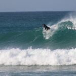 Surf Guide in Algarve Waveportugal (5 Hours Guided) - An In-Depth Look at the Algarve Surf Tour