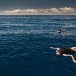 Swimming with Dolphins in Terceira Island - Who Should Book This Tour?
