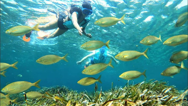 Tabarca Island: Guided Snorkel Excursion - Breaking Down the Itinerary