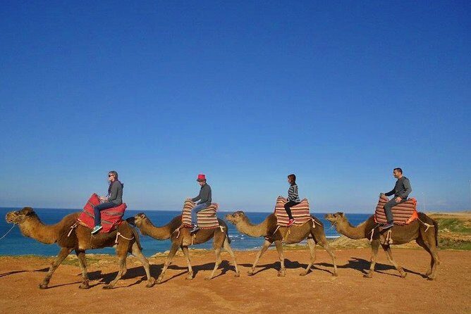 Tangier in Morocco private tour from Seville for up to 8 persons - Arrival in Tangier and First Impressions