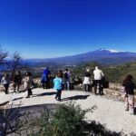 Taormina and Castelmola Tour from Messina - Why Choose This Tour?